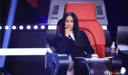 最新爆料那英过往视频播放,揭秘歌手背后的故事与风采