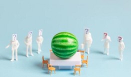 新瓜最新爆料合集,揭秘娱乐圈最新热点事件