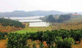 广州农庄爆料案件最新,揭开背后惊人真相